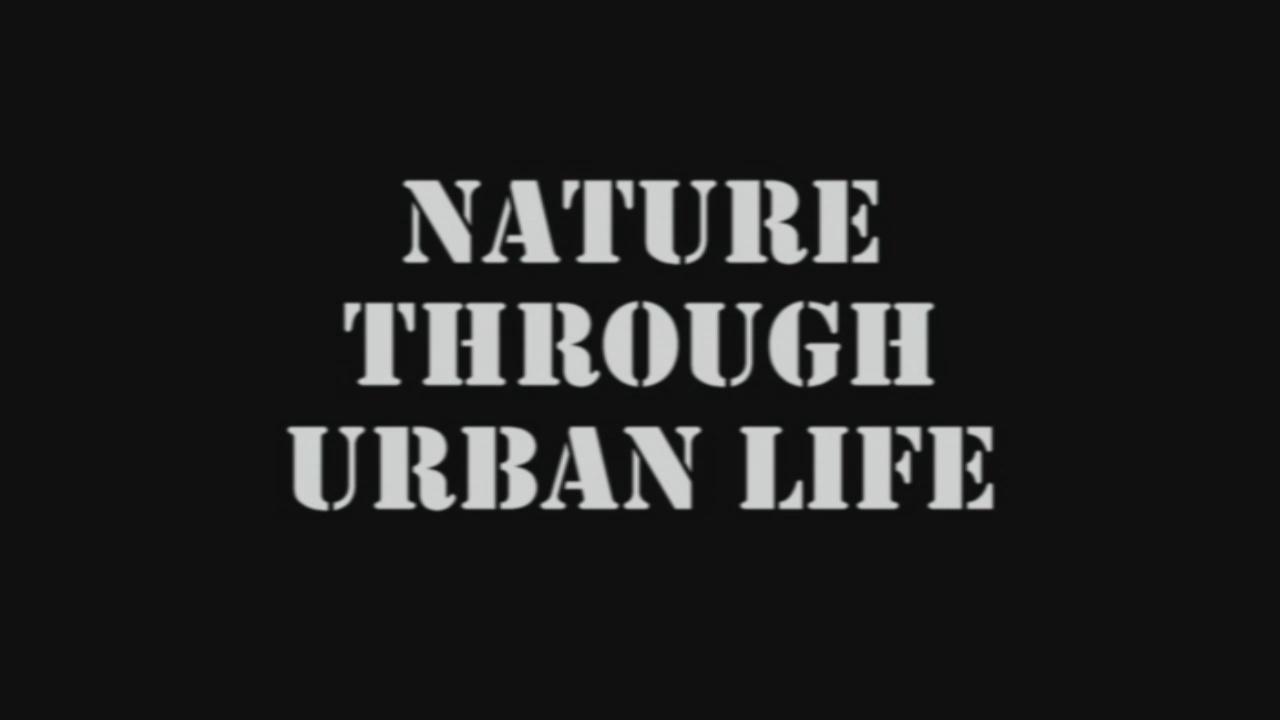 Video still from Nature Through Urban Life by Bo G Svensson