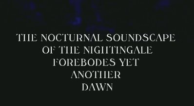 Video still from The Nocturnal Soundscape of the Nightingale Forebodes Yet Another Dawn