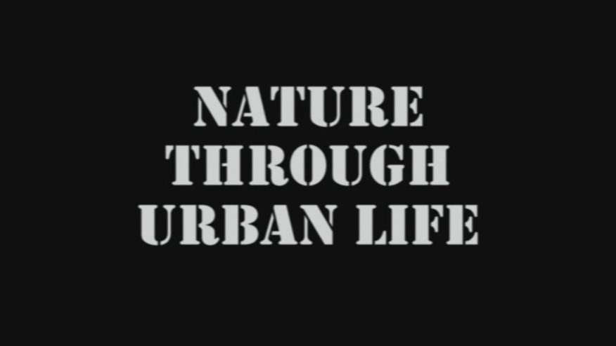 Video still from Nature Through Urban Life by Bo G Svensson